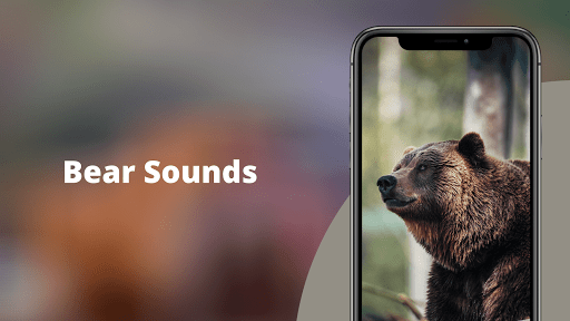 Android application Bear Sounds screenshort