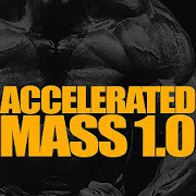 Accelerated Mass 1.0  Icon