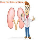 Cure for Kidney Disease icon