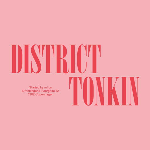 District Tonkin logo