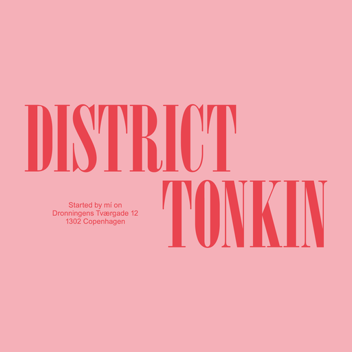 District Tonkin