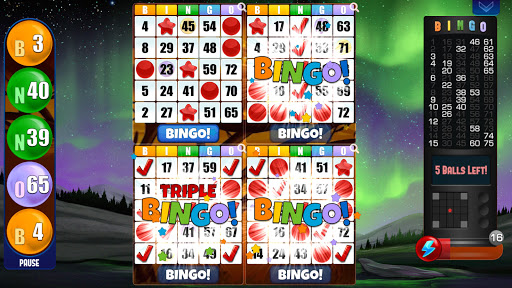 Absolute Bingo - Apps on Google Play