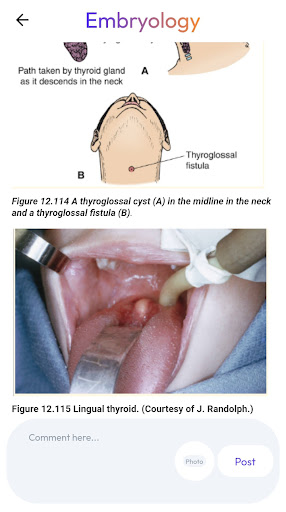 Android application Histology And Embryology screenshort