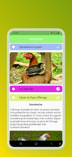 Aviculture moderne