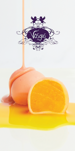 Android application Vosges Haut-Chocolat screenshort