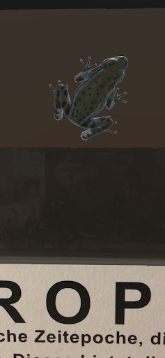 NewFossilsAR Screen 3