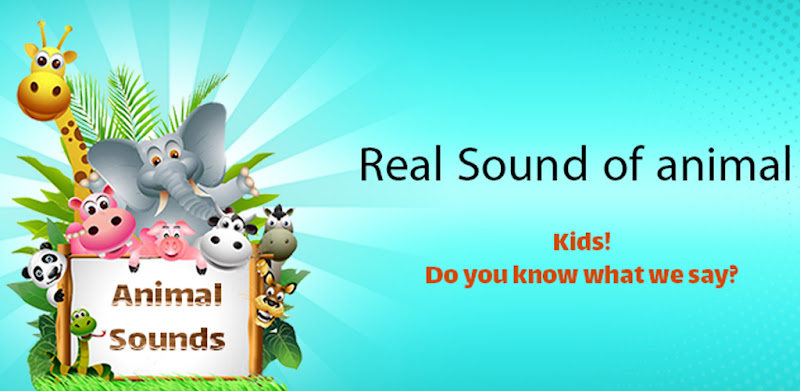 Real Animal sounds