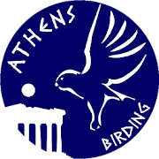 Athens birding