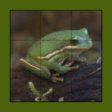 Frog Puzzles Extreme! icon