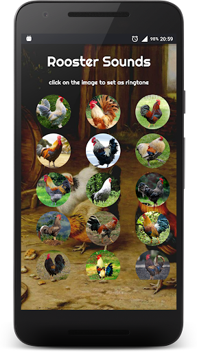 Android application Rooster Sounds screenshort
