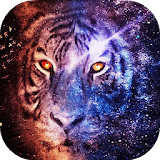 Star tiger live wallpaper icon