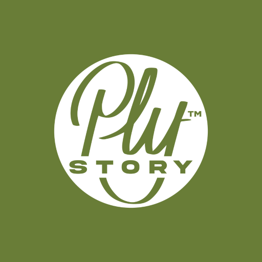 Ply_story logo