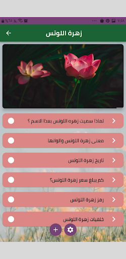 خلفيات زهرة اللوتسlotus