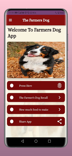 The Farmers Dog Screen 2