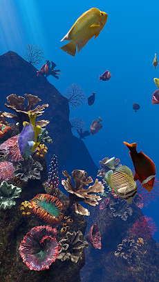 Ocean Aquariumのおすすめ画像4