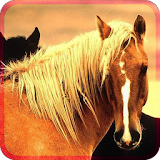 BEAUTIFULL HORSES icon