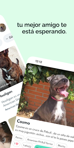 Woof ¡Adopta una mascota