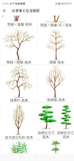 剪定の時期とポイントとお手本樹形 Screen 3