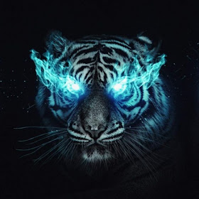Tiger Wallpaper by Feroja - (Android Apps) — AppAgg