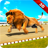 Wild Lion Racing Fever : Animal Racing icon