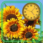 Cover Image of Download Sunflowers Clock  APK