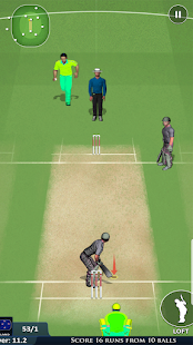World Cricket Games 3D: Play Live T20 Cricket Cup 9.0 APK screenshots 12