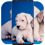 Cover Image of Télécharger Pitbull Dog Wallpaper  APK