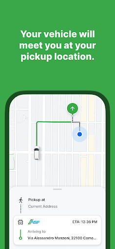 ASF FLEX screenshot 2