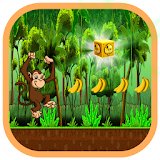 Jungle Monkey Run Adventure icon