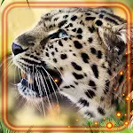 Cover Image of Descargar Jaguars Voice  APK