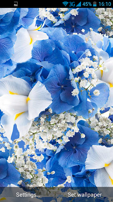 White Flowers Live Wallpaper Androidアプリ Applion