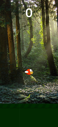 Android application Jungle Bird screenshort