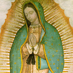 Icon image La Virgen de Guadalupe