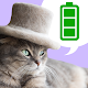 電池長持ち・猫の 抜け毛帽子 バッテリー表示ウィジェット Windowsでダウンロード