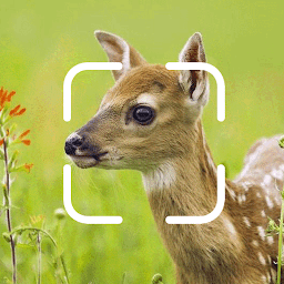 TrailCam Go: Download & Review