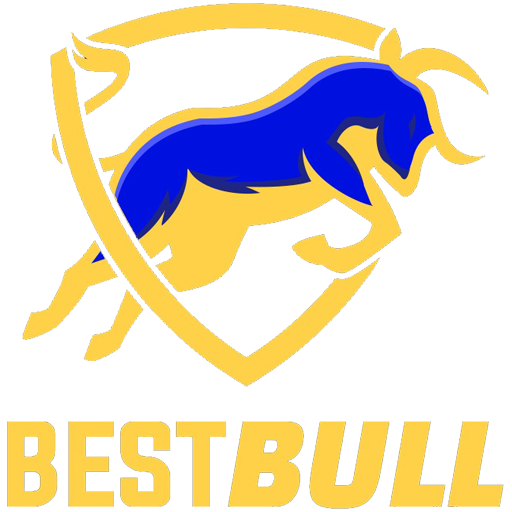 Best Bull Auf Windows herunterladen