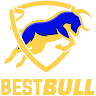 Best Bull