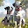 Dog Simulator 3D