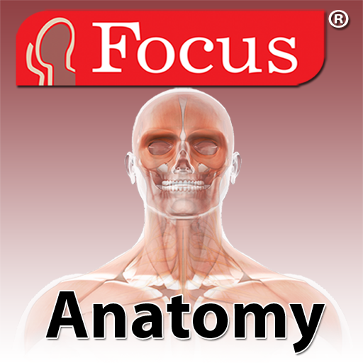 Anatomy Atlas 2.2 Icon