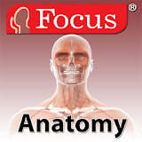 Anatomy Atlas icon