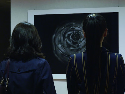 [10000ダウンロード済み√] アンリマッケローニ 画像 125879