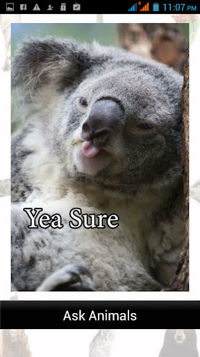 Ask Funny Animals 2023 Screen 3