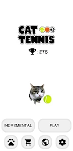 Cat Tennis Champion 1