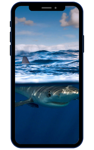 Android application Shark Wallpapers screenshort