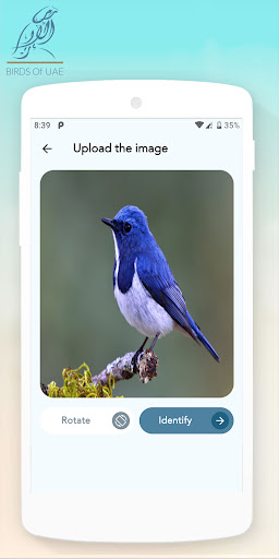 Birds Of UAE Screen 3