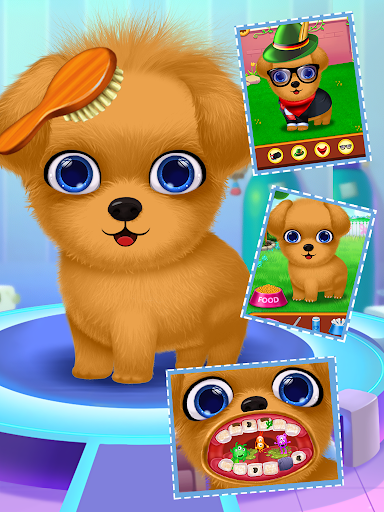 Labrador puppy daycare salon Screen 2