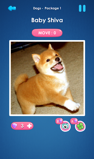 Slide Pictures Puzzle Screen 3