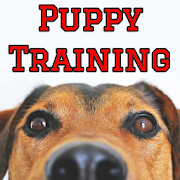 Top 45 Books & Reference Apps Like How To Train A Puppy - Best Alternatives