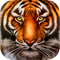 Wild Tiger Survival - Animal Simulator