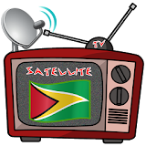 Guyana TV icon